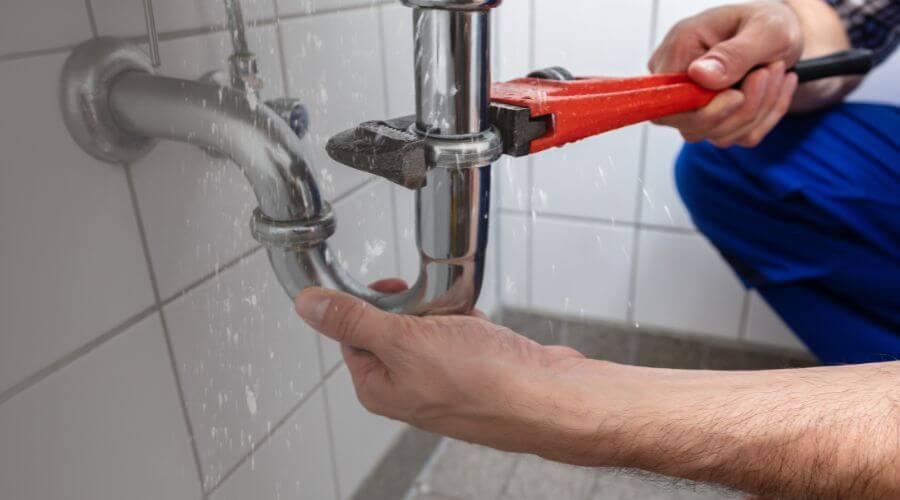 Professional Leak Detection services in McAlpin, FL